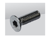 Hex Socket Flat Countersunk Head Cap Screw